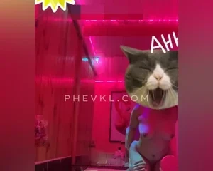 Cặp đôi liếm lồn bú cu đụ nhau trong bồn tắm