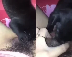 Em gái nứng lồn cho chó liếm