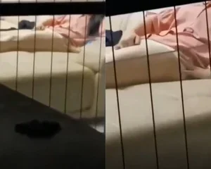 Quay lén em hàng xóm móc lồn trên ghế sofa phòng khách