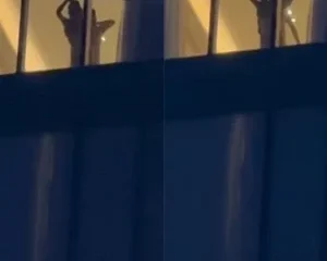 Thằn lằn bám kính ngay tại đô thị Vinpearl